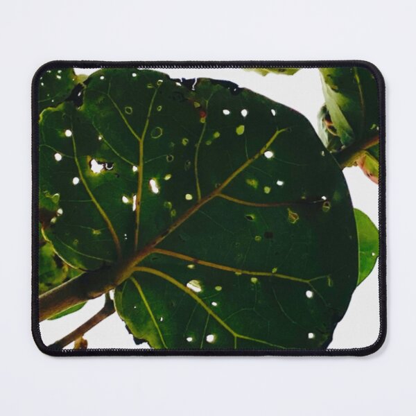 Item preview, Negril holey grape leaf designed and sold by ClaireRequa.