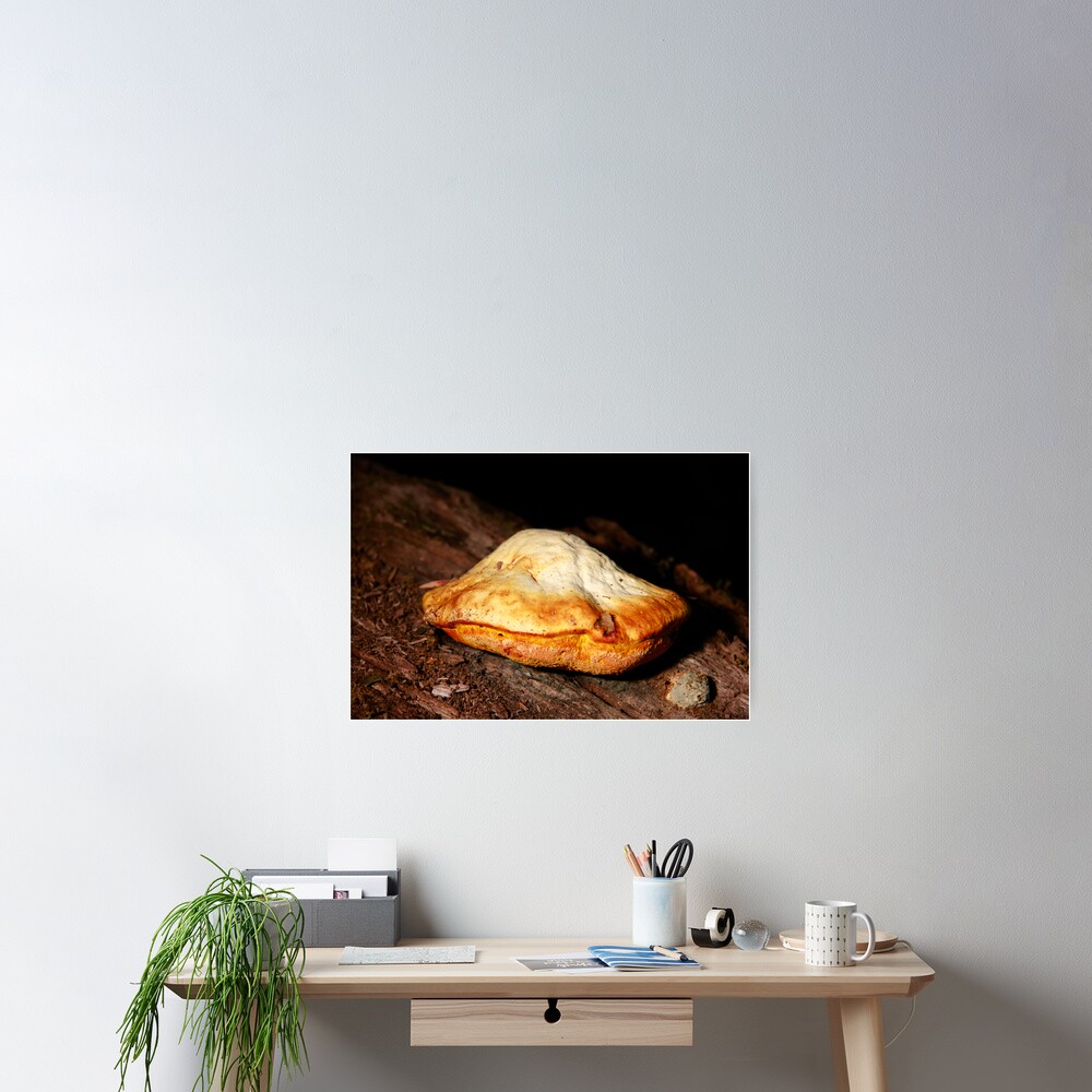 Chicken of the woods Poster