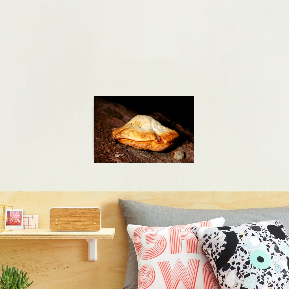 Chicken of the woods Photographic Print