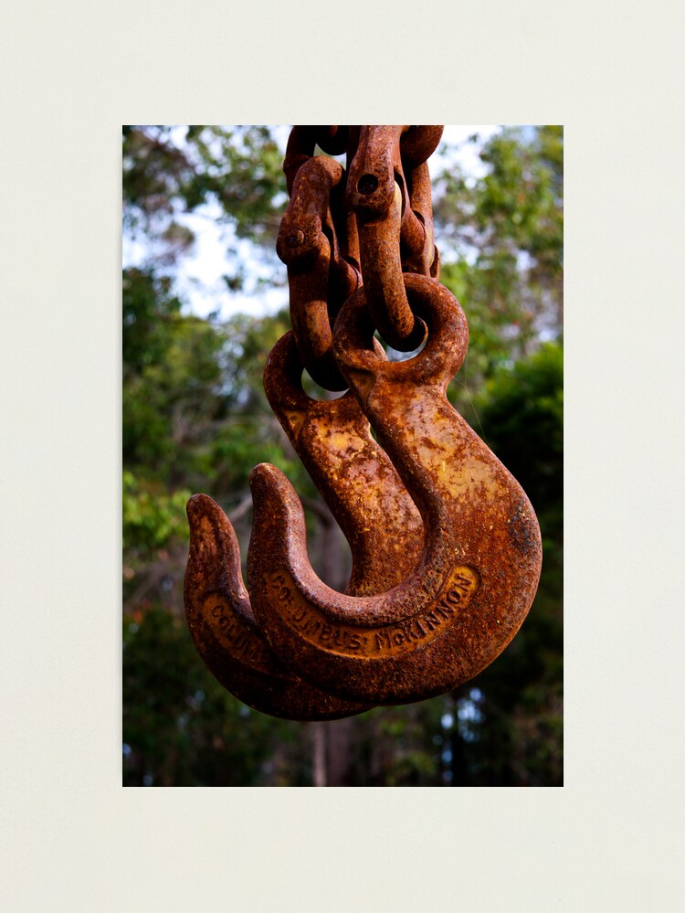 Alternate view of Crane hooks Photographic Print
