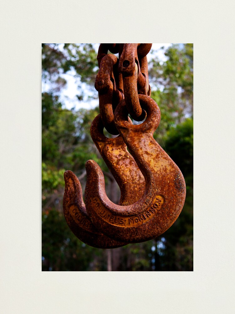Alternate view of Crane hooks Photographic Print