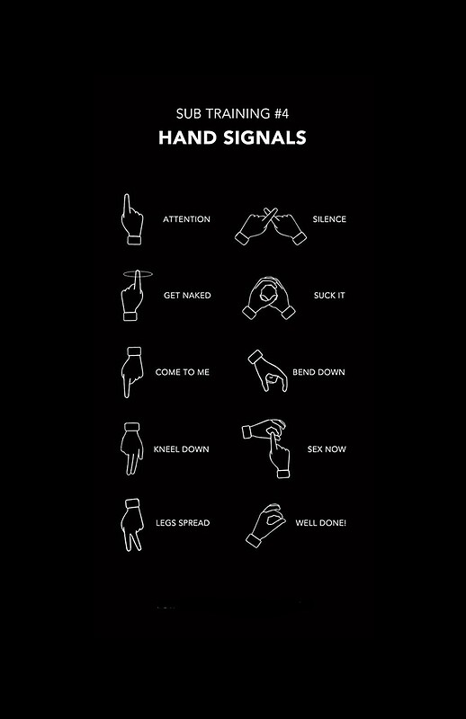 Sub Training Hand Signals' by Slinky-Reebs. bdsm, bondage, submissive,...