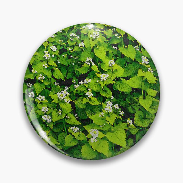 Artikelvorschau, Penny-Hedge entworfen und verkauft von SpectraScope.