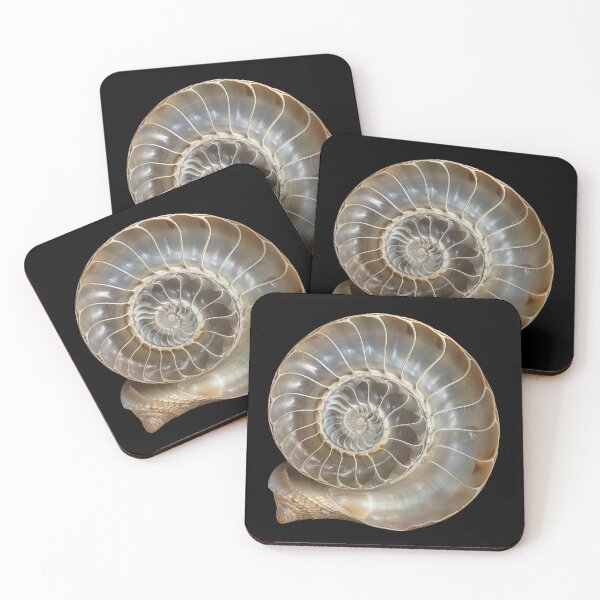 Item preview, Spiral of Nature's Design designed and sold by palmyst.
