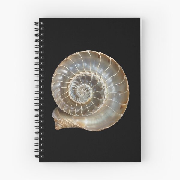 Item preview, Spiral of Nature's Design designed and sold by palmyst.