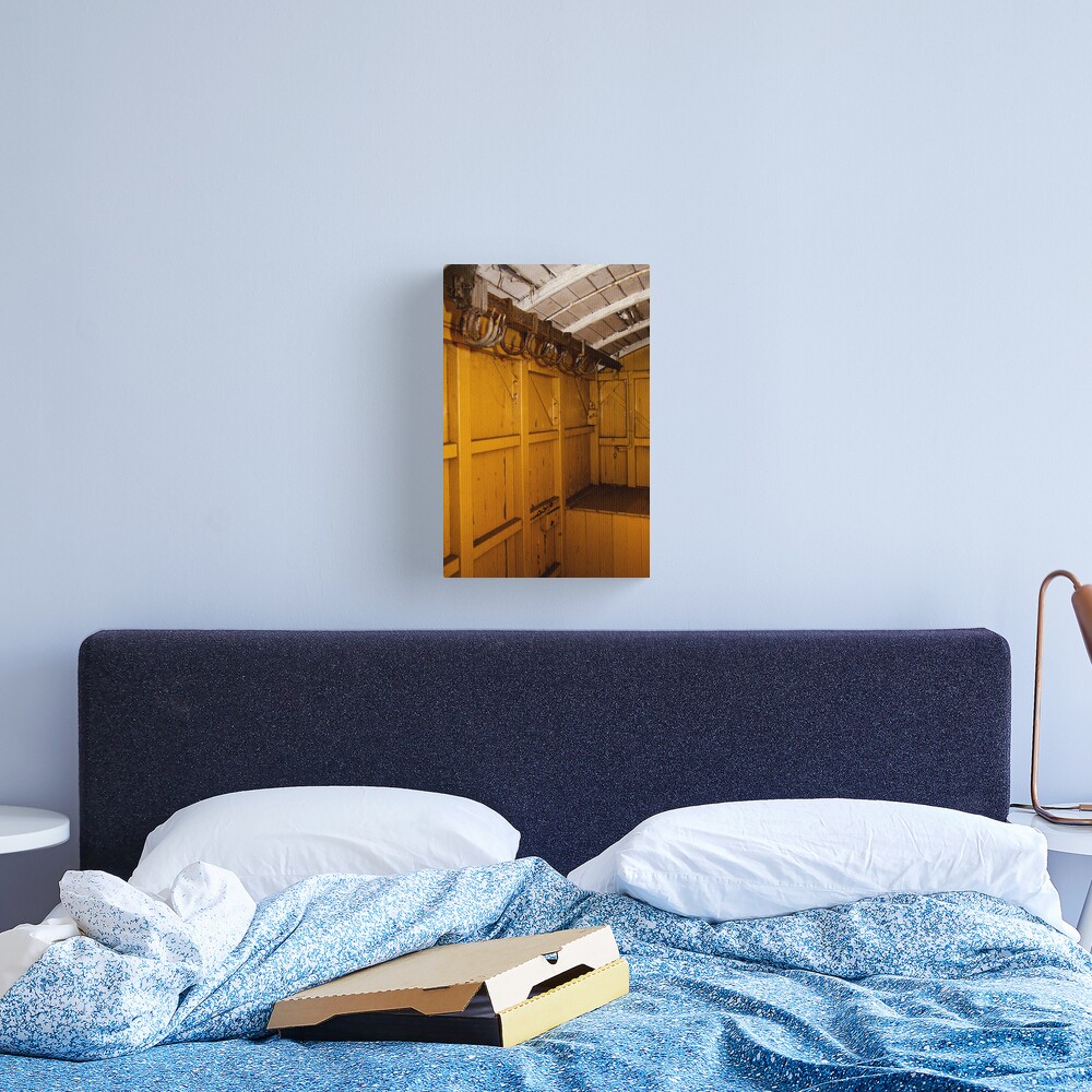 Inside a carriage Canvas Print
