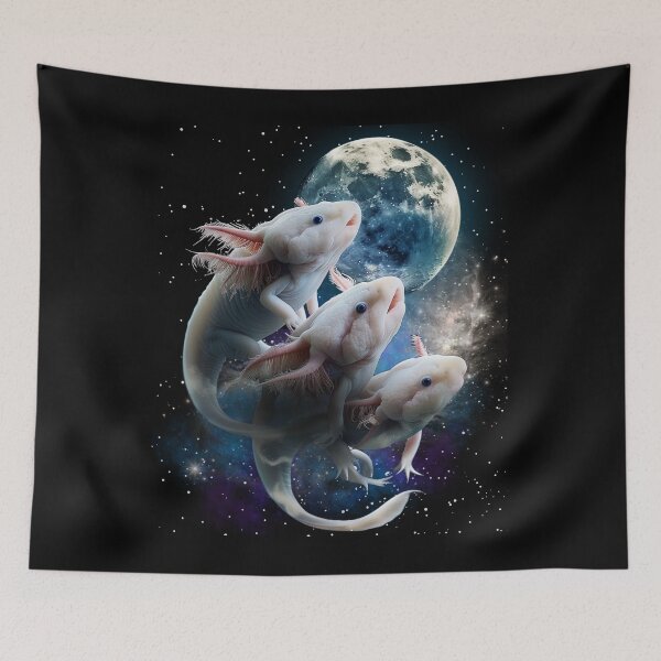 Item preview, 3 Axolotl Moon designed and sold by Numpties.