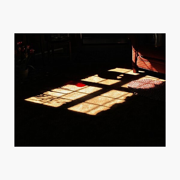 Evening shadow Photographic Print