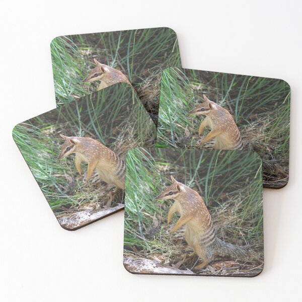 Item preview, Numbat designed and sold by LeanneAllen.