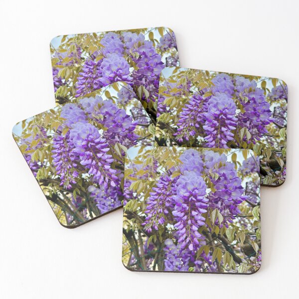 Item preview, Wisteria bunch designed and sold by BreeFarinaPhoto.