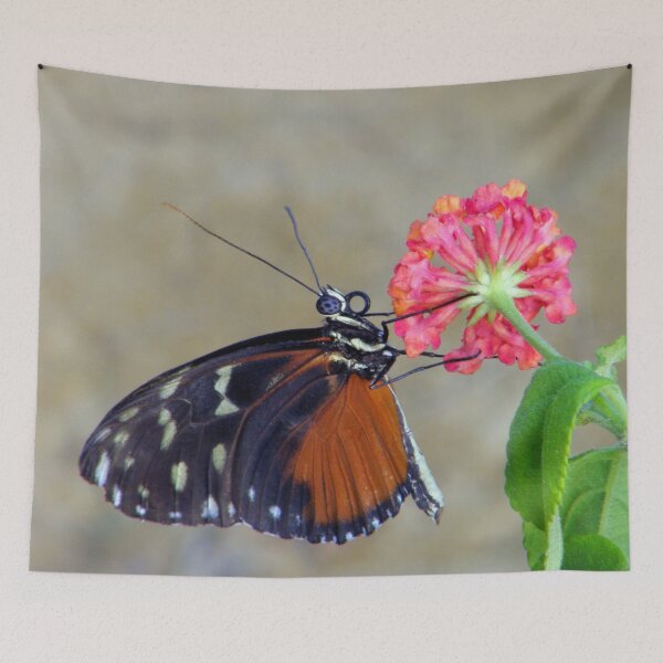 Item preview, Butterfly On A Lantana Blossom designed and sold by Len Bomba.