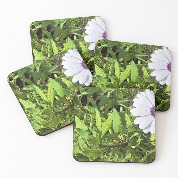 Item preview, white flower in spring 24 designed and sold by sadeek1021953Ss.