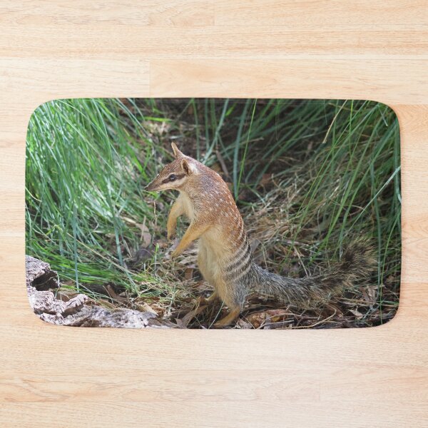 Item preview, Numbat designed and sold by LeanneAllen.