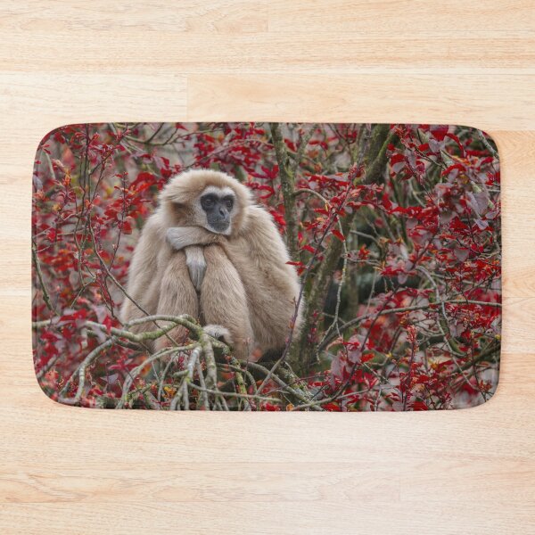 Item preview, Gibbon's Solitude designed and sold by rawshutterbug.