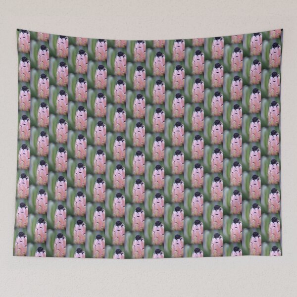Item preview, proteanerliifolia - Blue Sugarbush designed and sold by imaginethis.