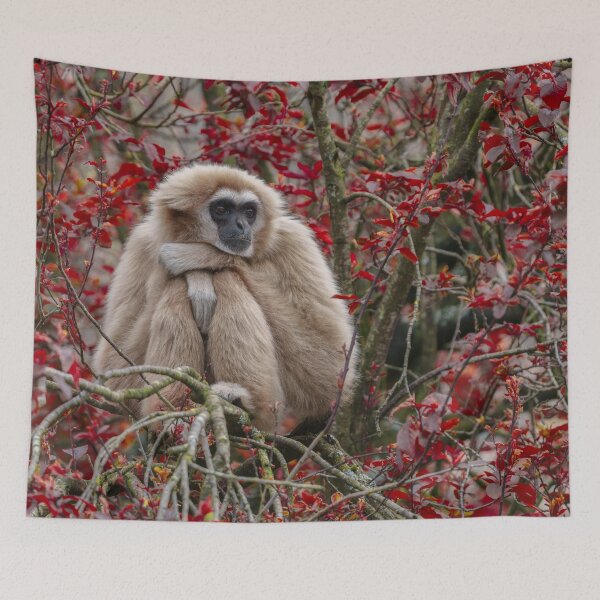 Item preview, Gibbon's Solitude designed and sold by rawshutterbug.