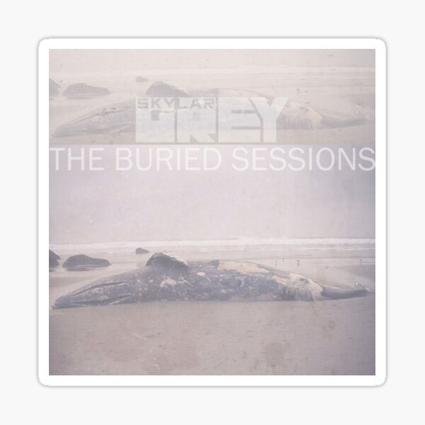 skylar grey the buried sessions