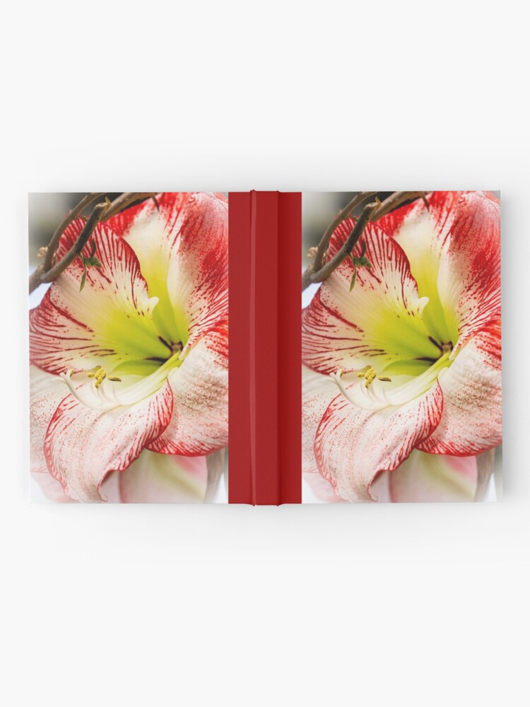 Cuaderno de tapa dura «Amarilis rojo y blanco» de MotherNature | Redbubble