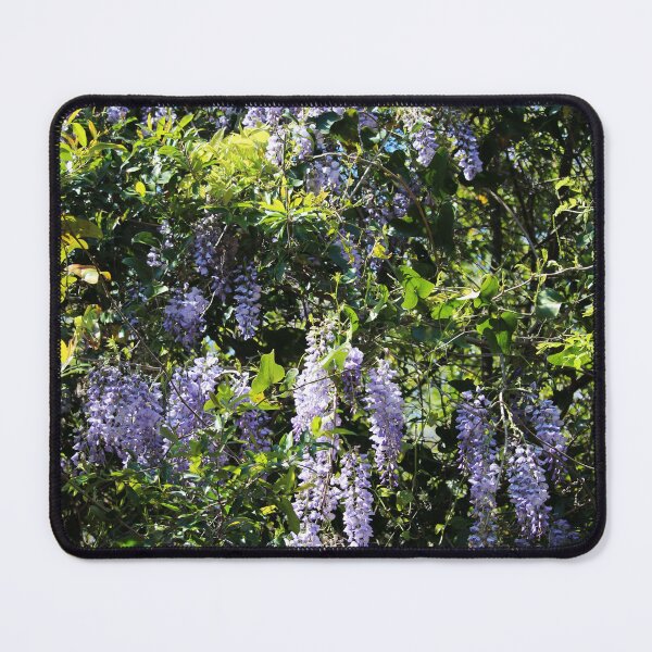 Item preview, Cascade Of Wisteria designed and sold by Cynthia48.