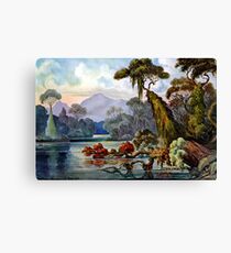 Ernst Haeckel Ceylon Jungle River Canvas Print