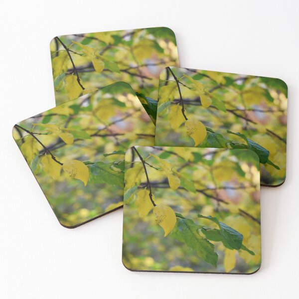 Item preview, Autumn leaves in yellow and green designed and sold by mariya-ivanova.