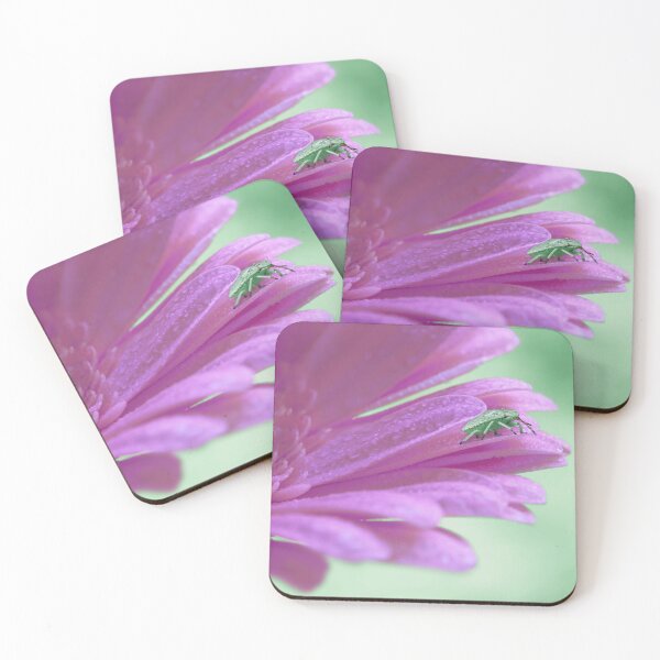 Item preview, Green Stinkbug on a purple Gerbera designed and sold by Elianne Turennout.