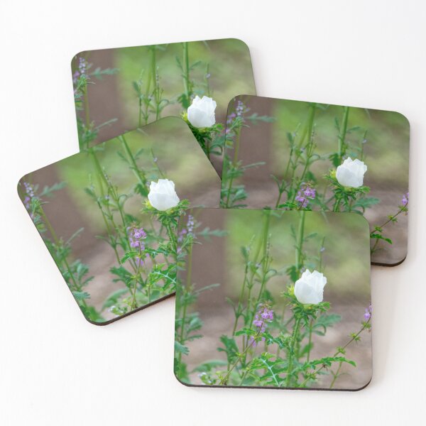 Item preview, Spring Garden Beginnings designed and sold by Debra Martz.
