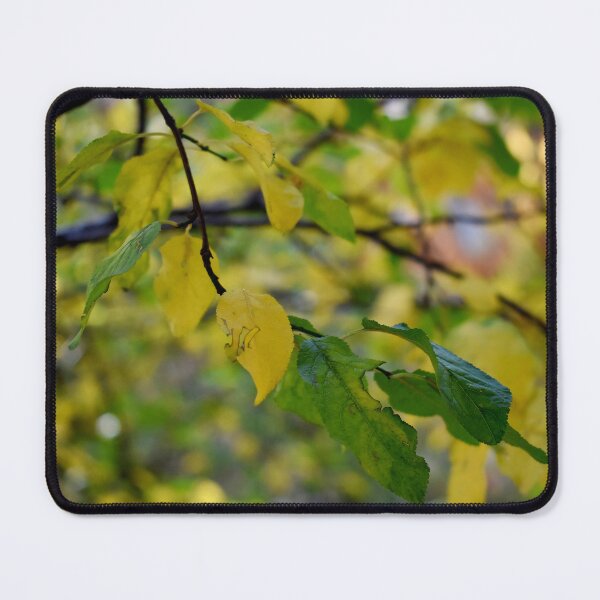 Item preview, Autumn leaves in yellow and green designed and sold by mariya-ivanova.