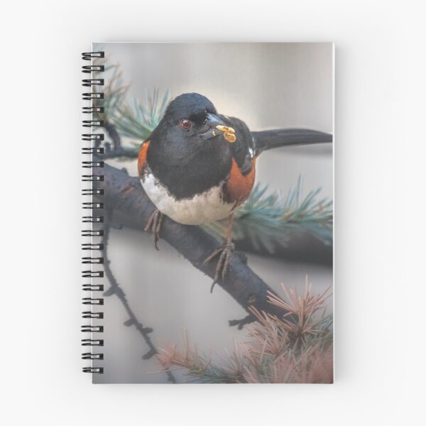 Item preview, Eastern Towhee designed and sold by Owed To Nature.