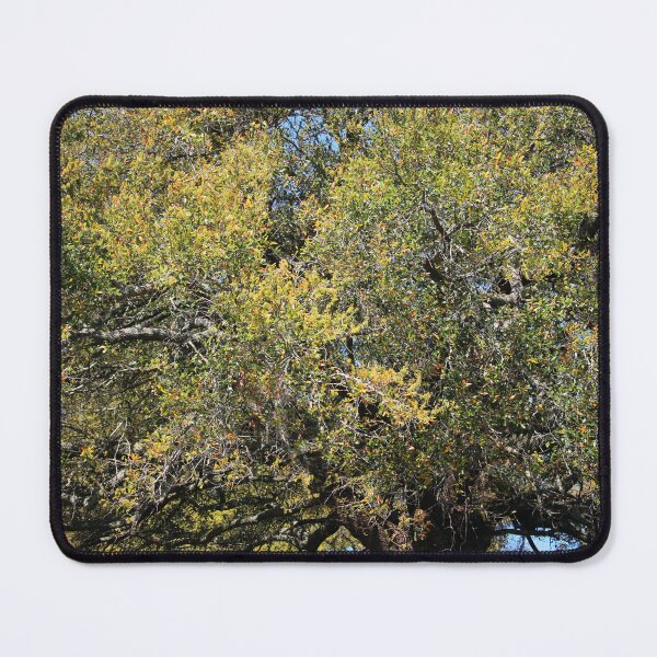 Item preview, Colorful Tree In The Spring designed and sold by Cynthia48.