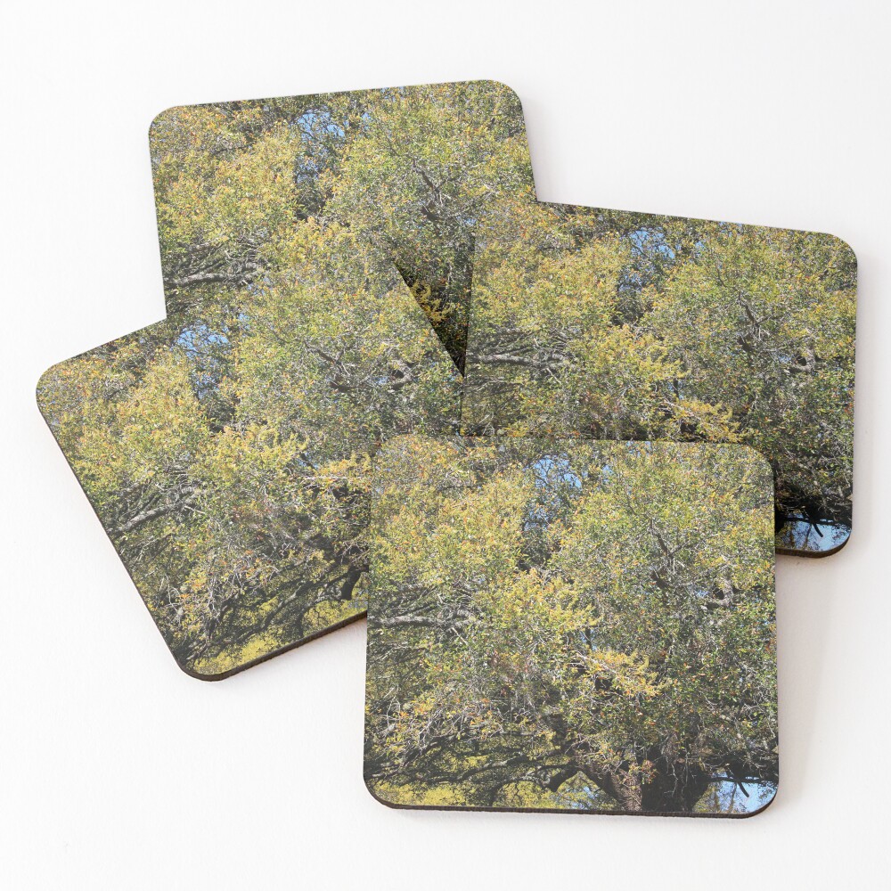Item preview, Coasters (Set of 4) designed and sold by Cynthia48.