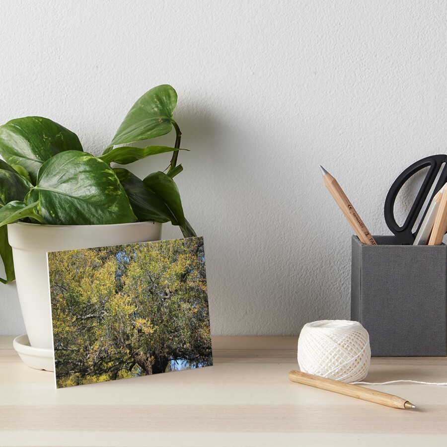 Item preview, Art Board Print designed and sold by Cynthia48.