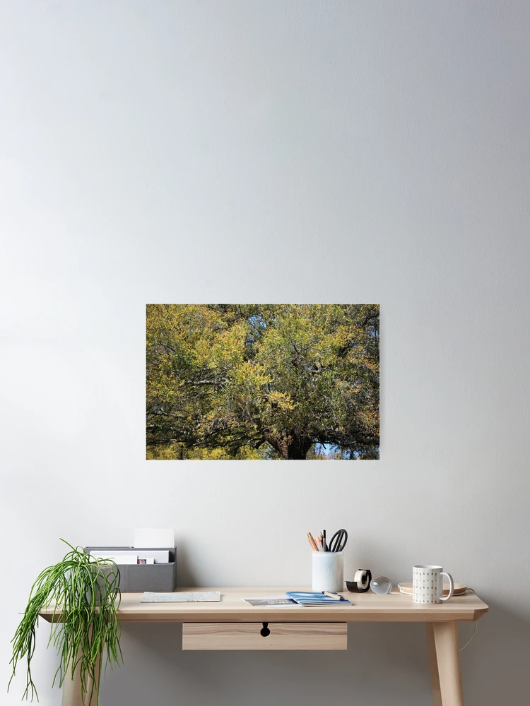 Thumbnail 2 of 3, Poster, Colorful Tree In The Spring designed and sold by Cynthia48.