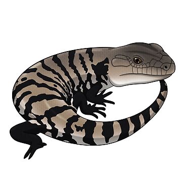 Artwork thumbnail, Blue Tongue Skink by HauntedHerps
