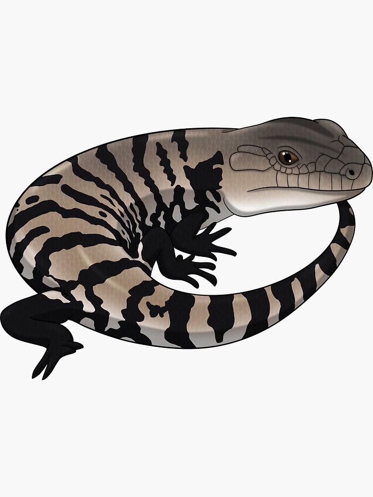 Thumbnail 3 of 3, Sticker, Blue Tongue Skink designed and sold by HauntedHerps.