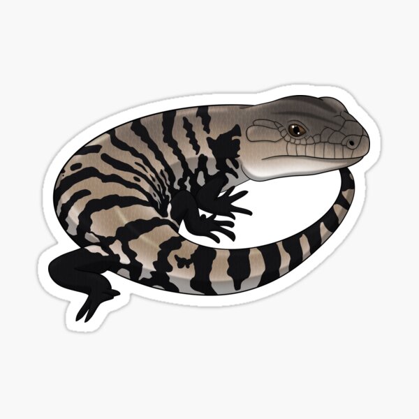 Item preview, Blue Tongue Skink designed and sold by HauntedHerps.
