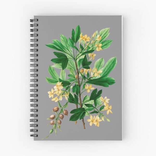 Item preview, Ribes Aureum Flower design designed and sold by Malshiyuki.