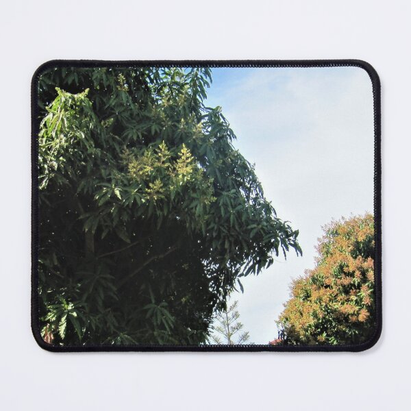 Item preview, Cloud sky with mango tree in the garden designed and sold by sadeek1021953Ss.