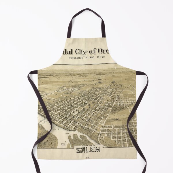 Item preview, The Capital City of Oregon, Salem (1905) designed and sold by allhistory.