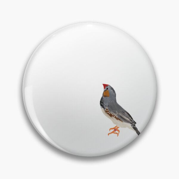 Item preview, Male Zebra Finch Drawing   designed and sold by ethunen.