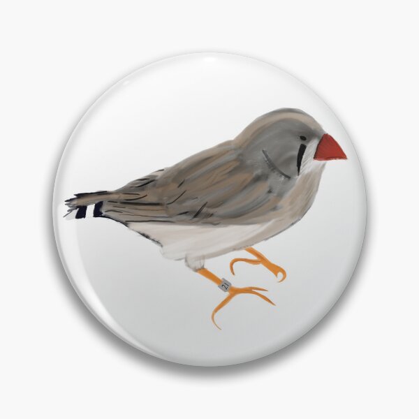 Item preview, Female zebra finch drawing  designed and sold by ethunen.