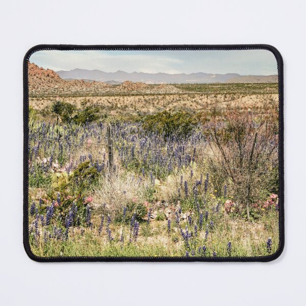 Item preview, Desert in Bloom designed and sold by Texas Enfocus Photography.