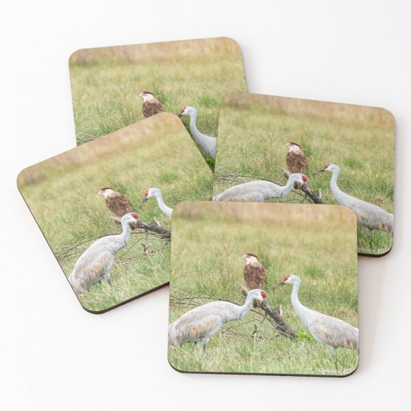 Item preview, Sandhill Cranes and eagle designed and sold by Texas Enfocus Photography.