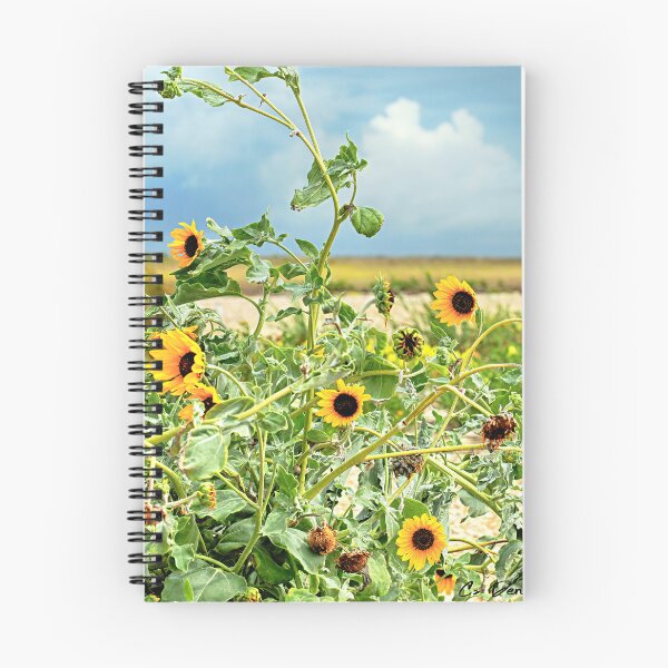 Item preview, Sunflowers designed and sold by Texas Enfocus Photography.