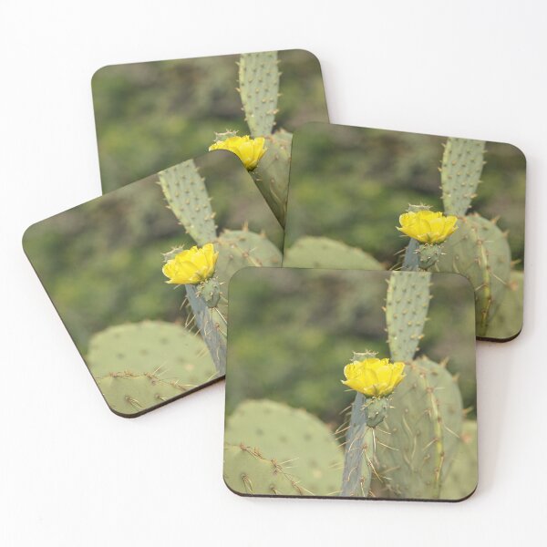 Item preview, Catus Bloom designed and sold by Texas Enfocus Photography.