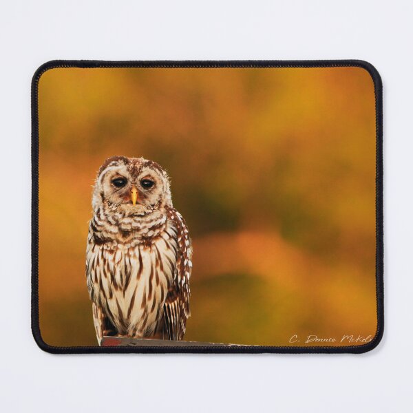 Item preview, Whooo designed and sold by Texas Enfocus Photography.