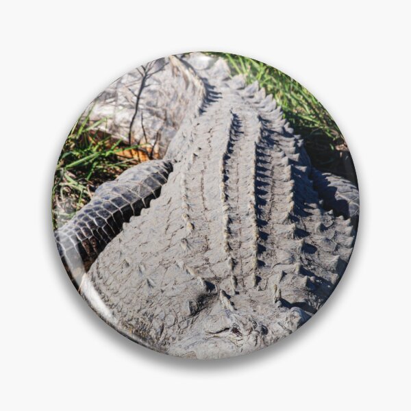 Item preview, Big Bull Gator designed and sold by Texas Enfocus Photography.