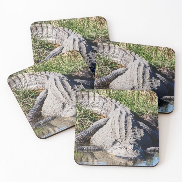 Item preview, Big Bull Gator designed and sold by Texas Enfocus Photography.