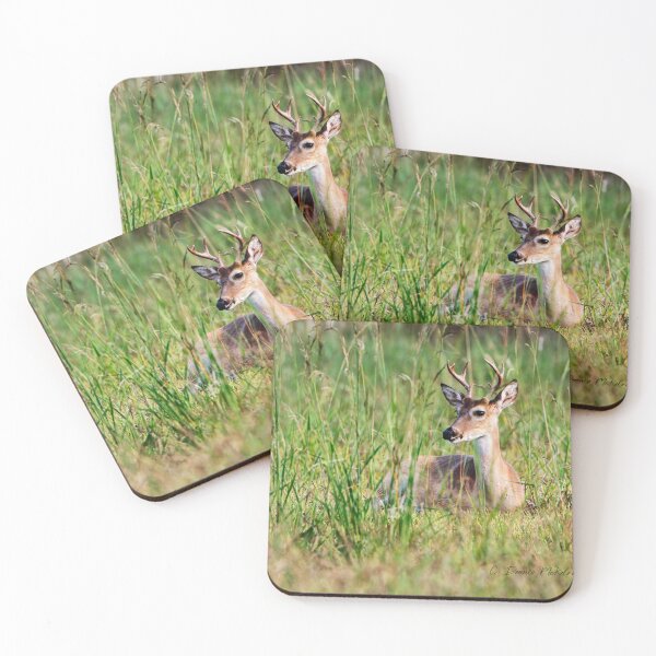 Item preview, Big eyes Buck designed and sold by Texas Enfocus Photography.