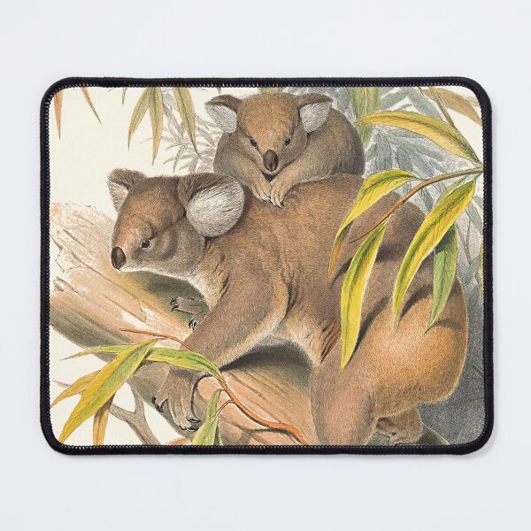 Item preview, Animals Of Australia The Koala designed and sold by JoolyA.